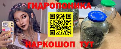 индика Берёзовский