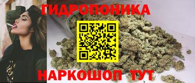 индика Берёзовский